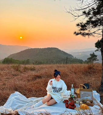 Bức ảnh xinh với concept picnic